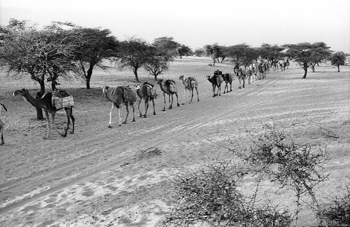 Ancient Roads and Trade Routes Across Yorubaland 