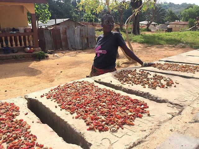 Indigenous Food Preservation Methods